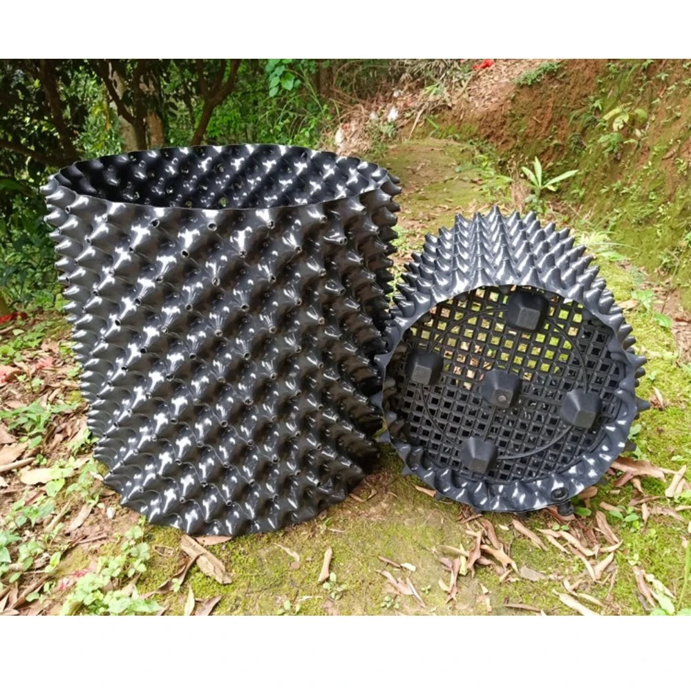 Fast-Growth Bonsai & Plant Training Containers