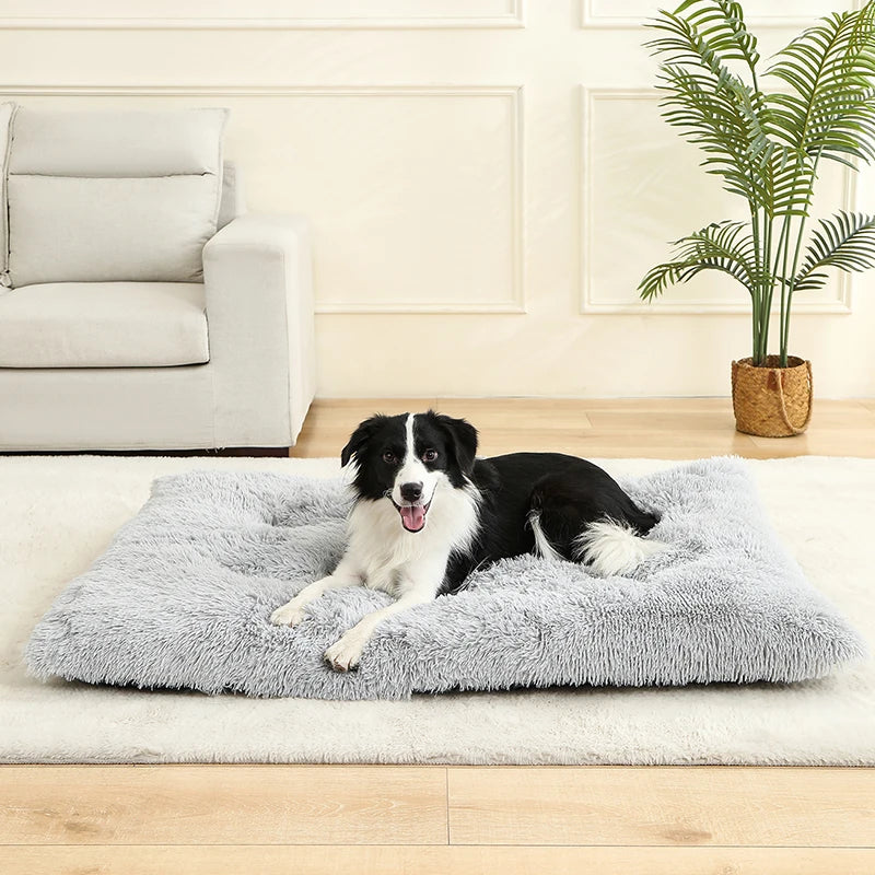 Soft Plush Dog & Cat Bed Basket