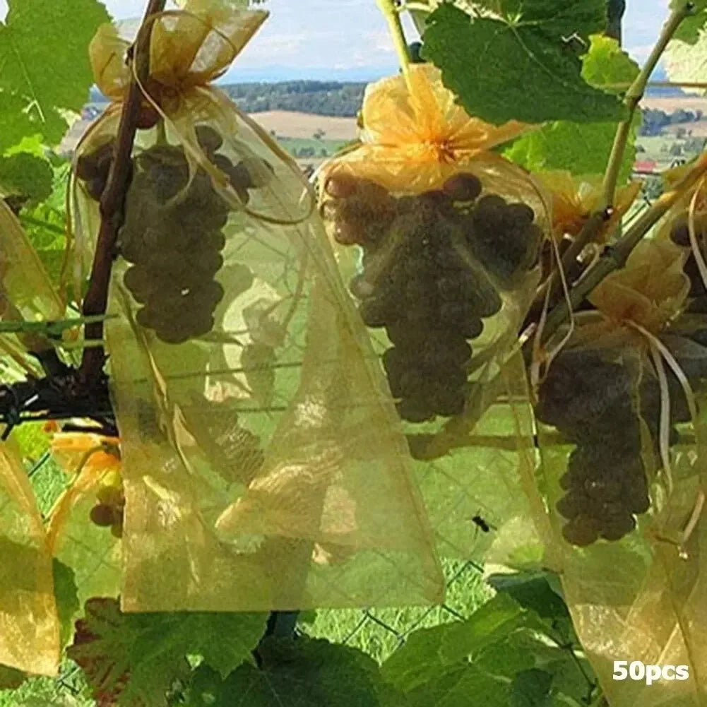 50PCS Fruit Protection Bags