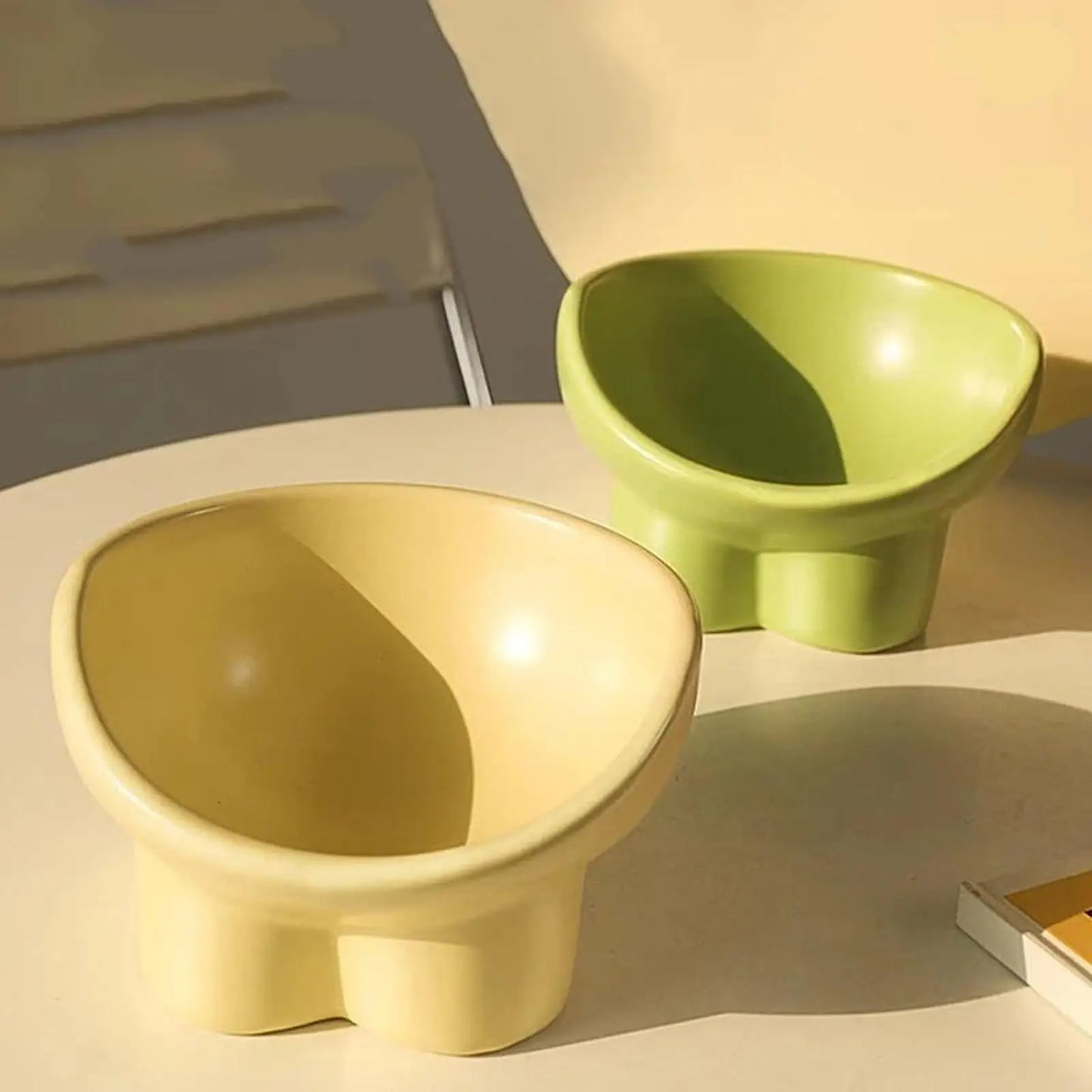 Tilted Water & Food Feeder Raised Pet Bowl