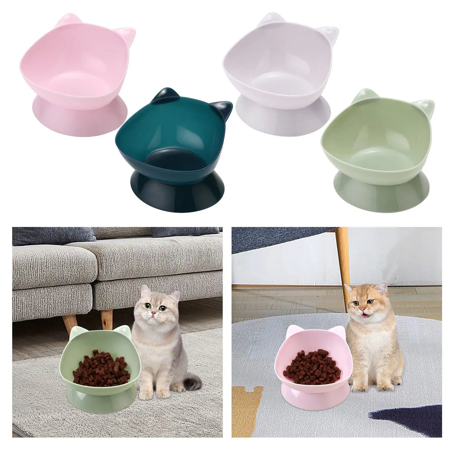 Tilted Water & Food Feeder Raised Pet Bowl