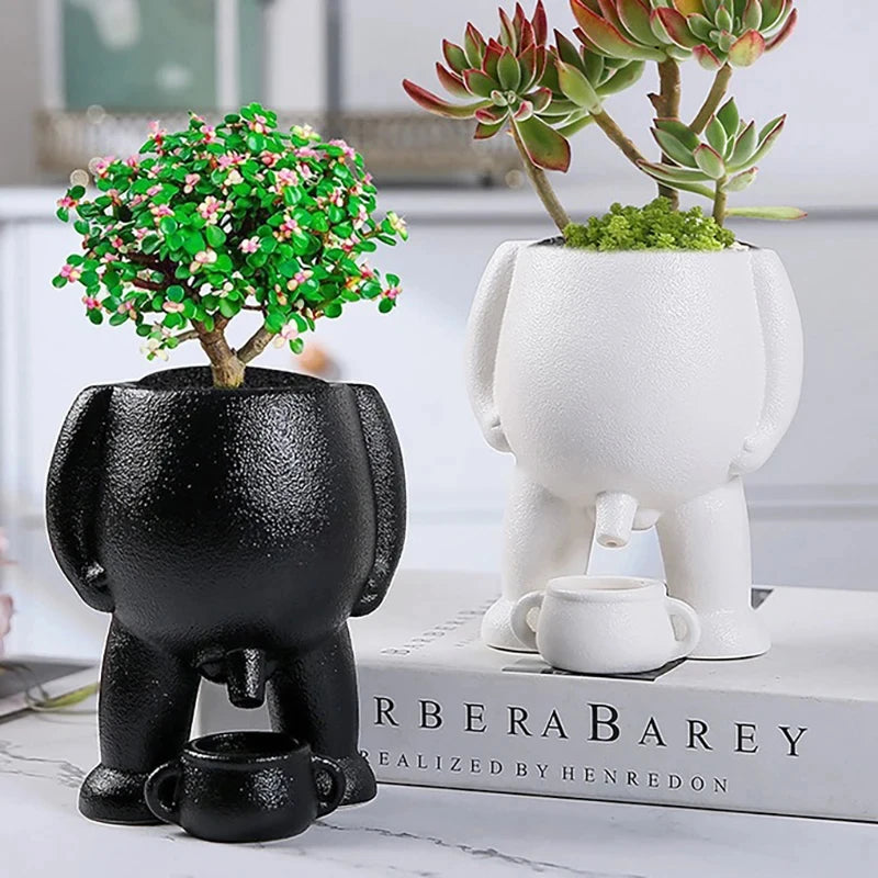 Desktop & Patio Flower Pot with Drainage