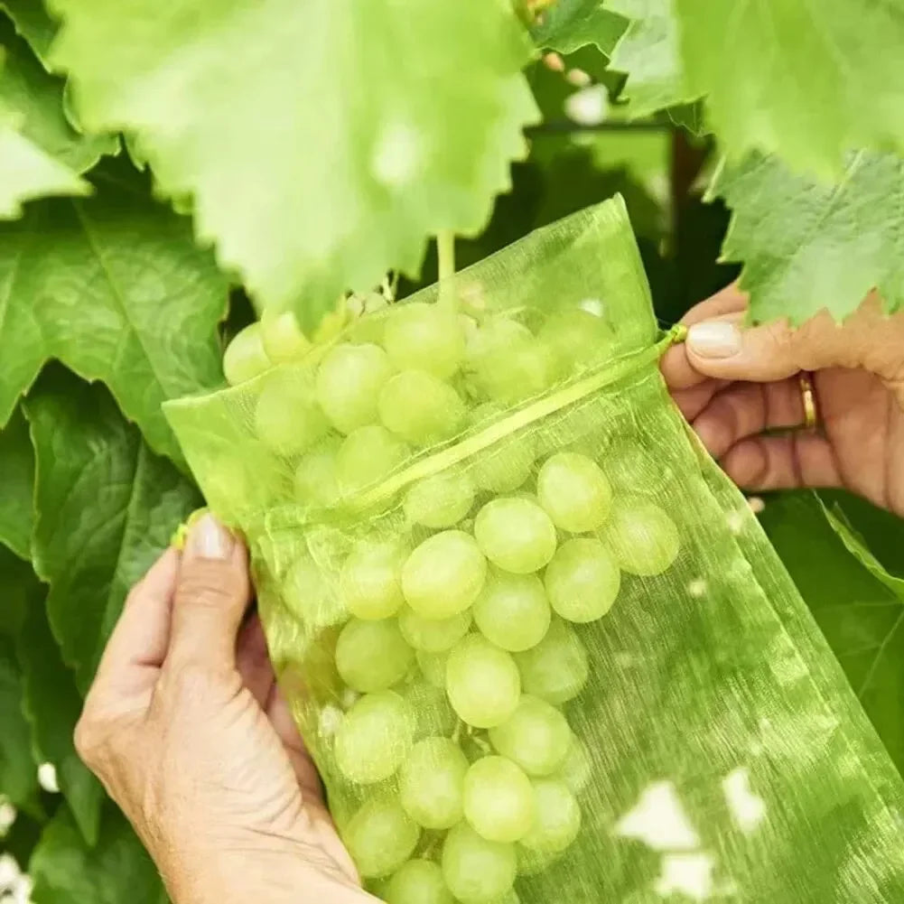 50PCS Fruit Protection Bags