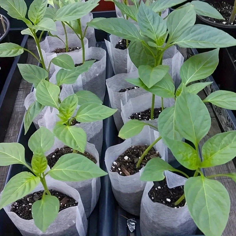 8x10cm Non-Woven Plant Nursery Pots