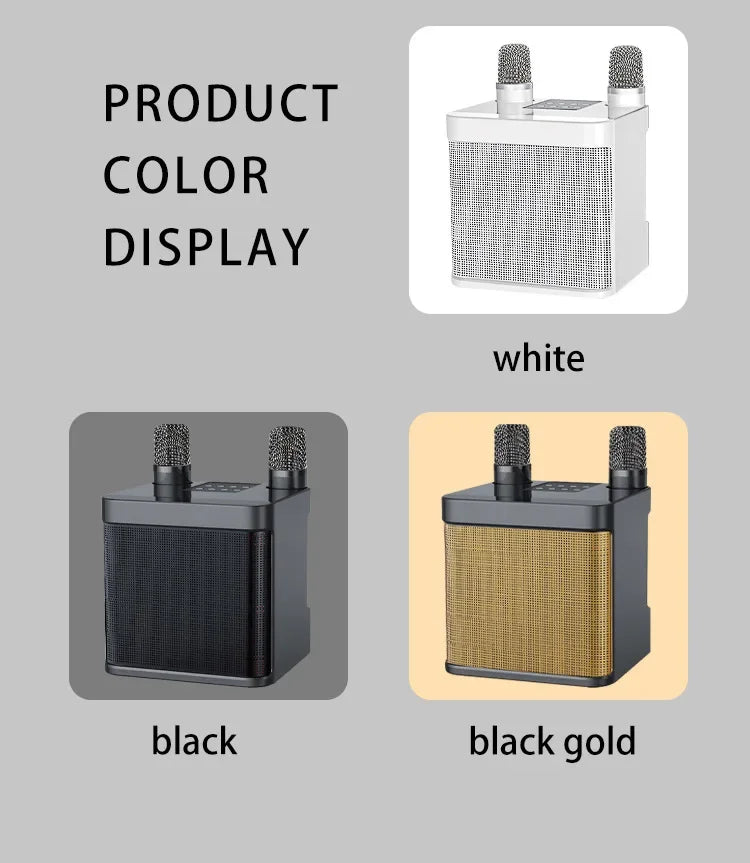 Portable Dual Microphone Karaoke Machine