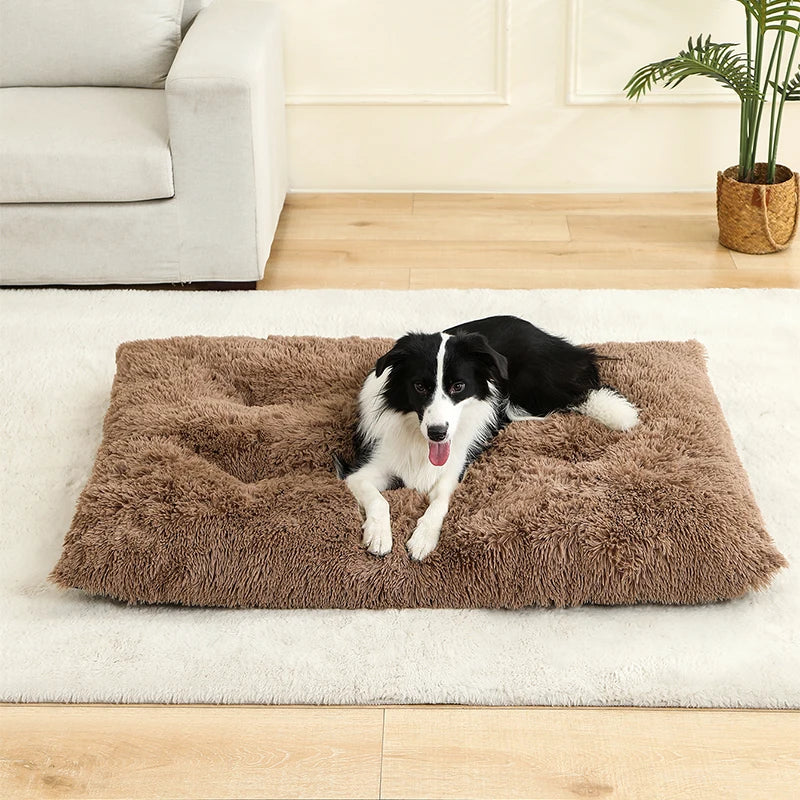 Soft Plush Dog & Cat Bed Basket