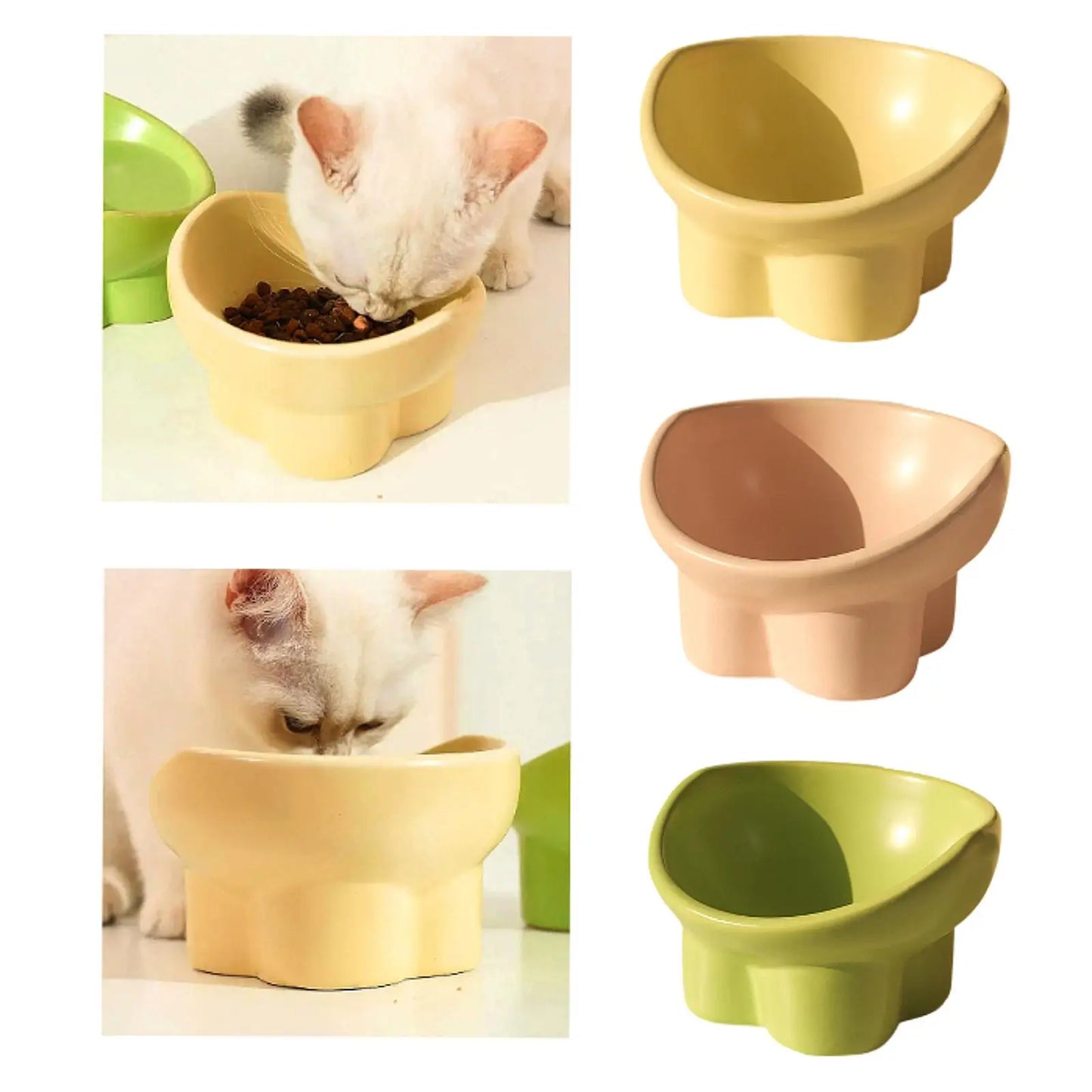 Tilted Water & Food Feeder Raised Pet Bowl