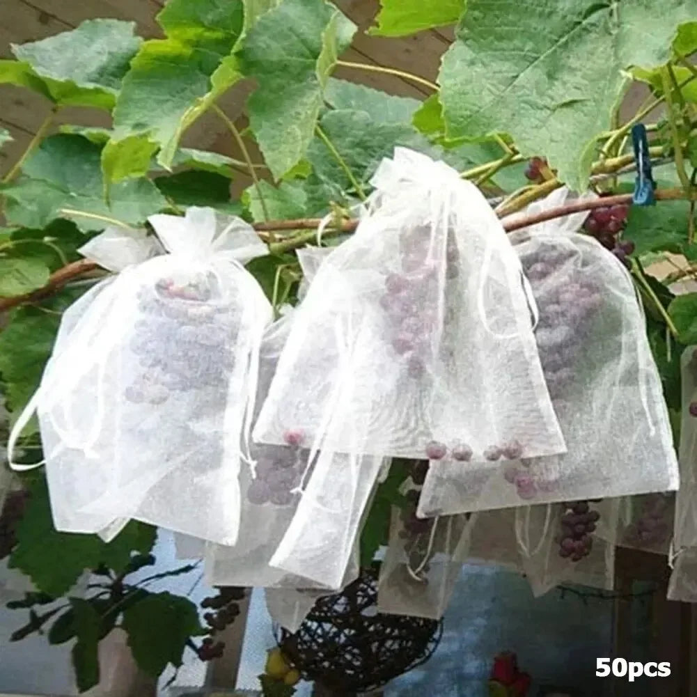 50PCS Fruit Protection Bags