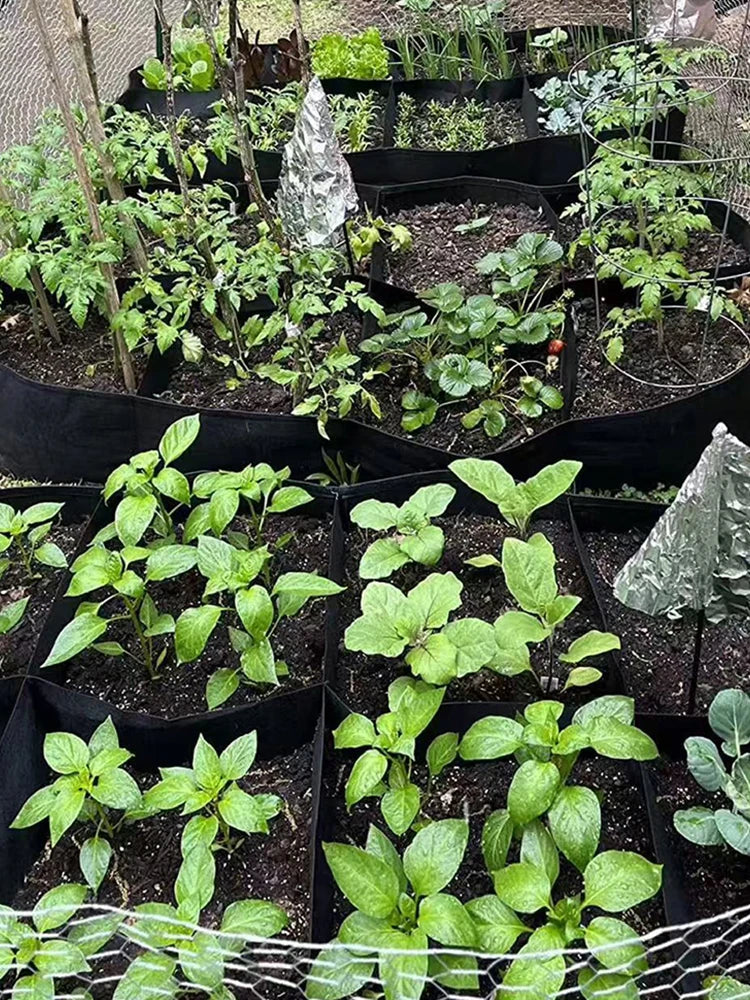 Garden Planting Bag