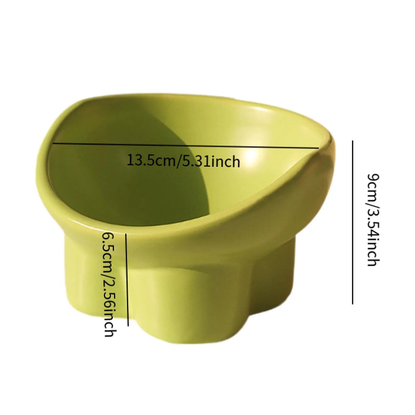 Tilted Water & Food Feeder Raised Pet Bowl