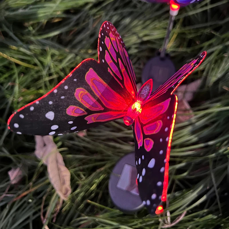 Solar Butterfly Lights Outdoor