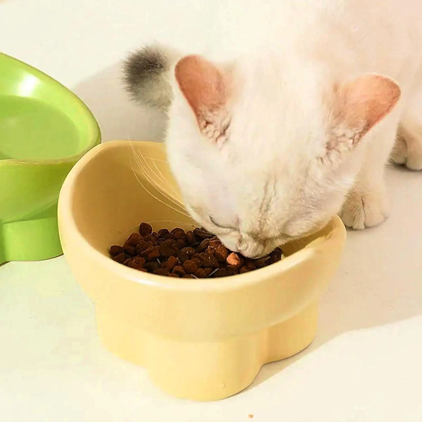 Tilted Water & Food Feeder Raised Pet Bowl