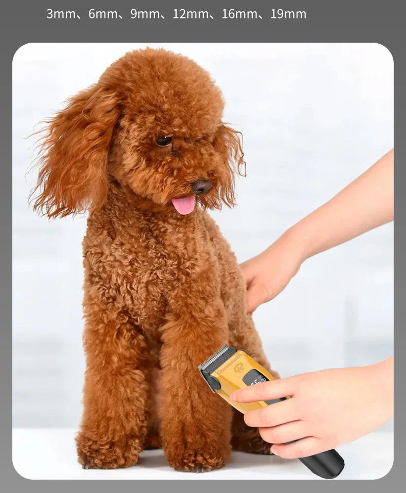 Professional Electric Pet Hair Clipper