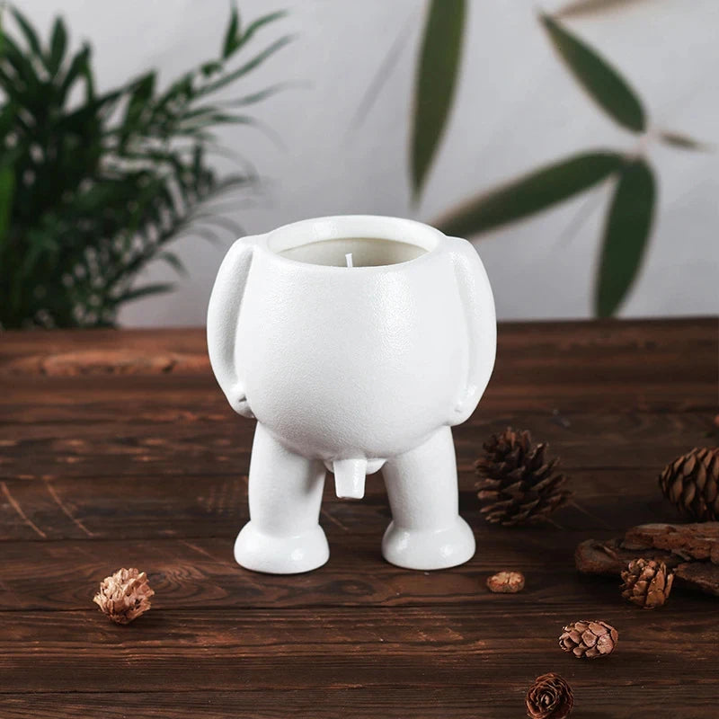 Desktop & Patio Flower Pot with Drainage