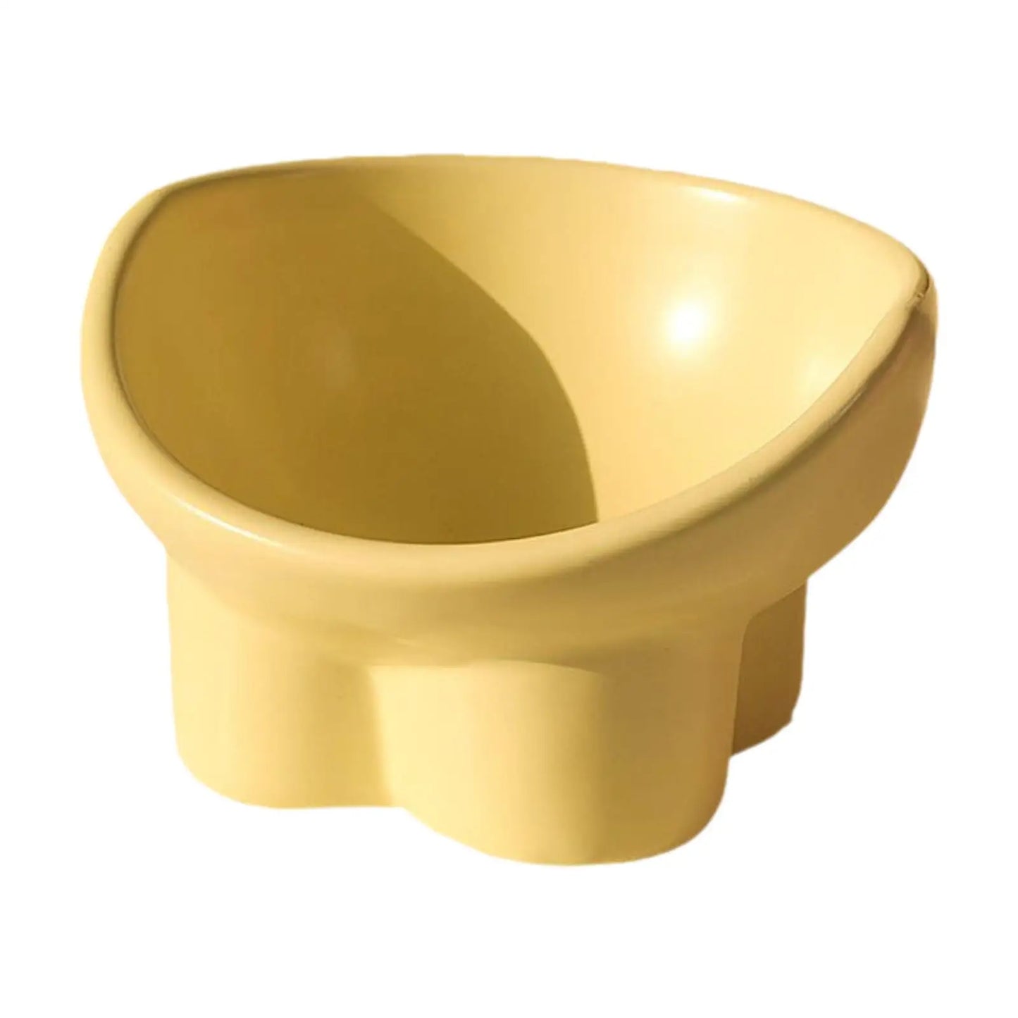 Tilted Water & Food Feeder Raised Pet Bowl