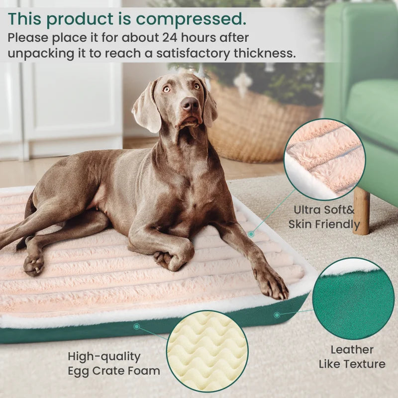 Removable Zipper Dog & Cat Bed Mat