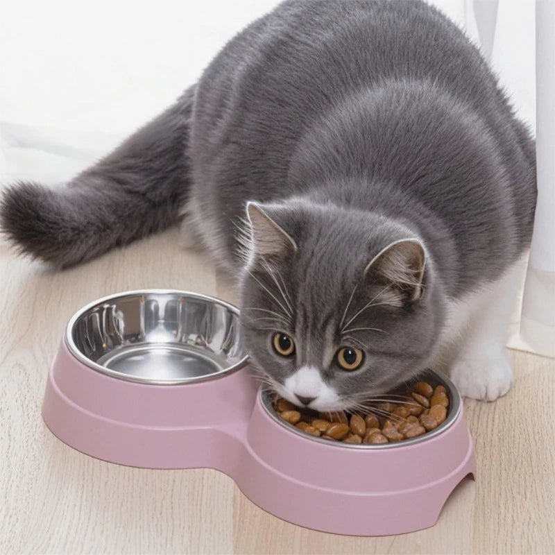 Double Stainless Steel Pet Bowl
