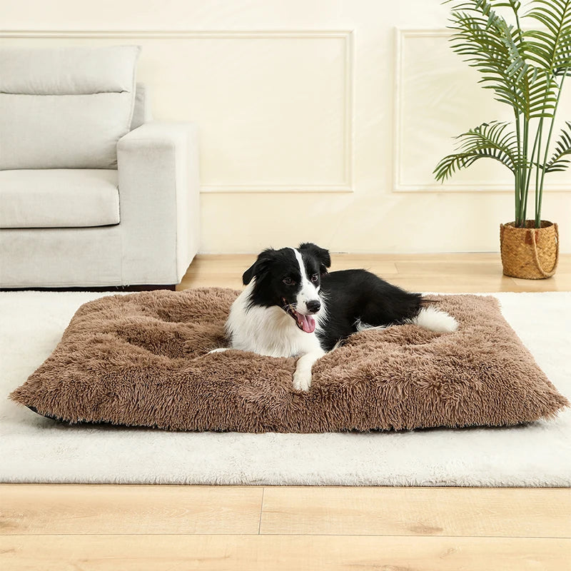 Soft Plush Dog & Cat Bed Basket