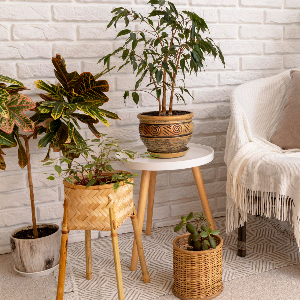 Home Decor