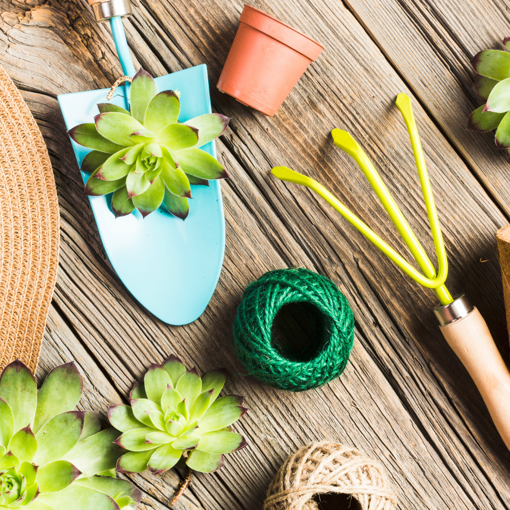 Garden Accessories