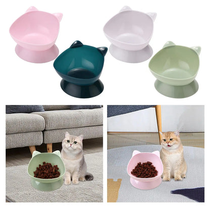 Tilted Water & Food Feeder Raised Pet Bowl