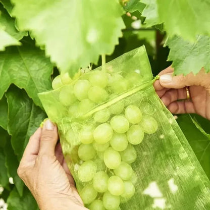 50PCS Fruit Protection Bags
