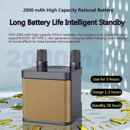 Portable Dual Microphone Karaoke Machine
