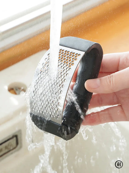 Stainless Steel Garlic Press